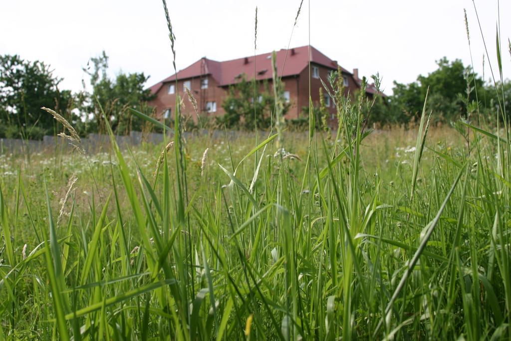 Motel U Olka Boczow エクステリア 写真